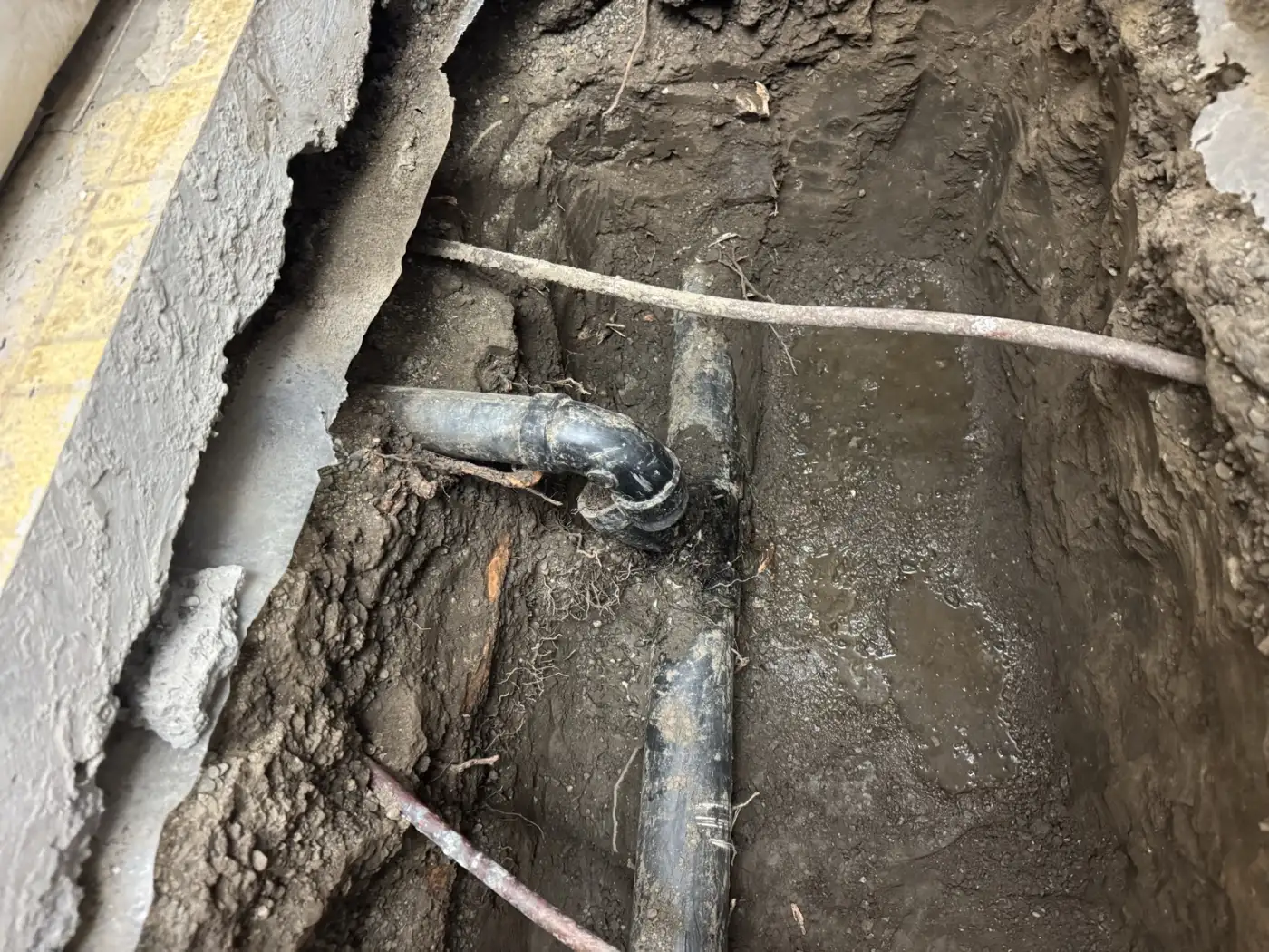 Trench opened in a Pleasanton kitchen slab exposing the old cast iron drain line with tree roots crossing the excavation