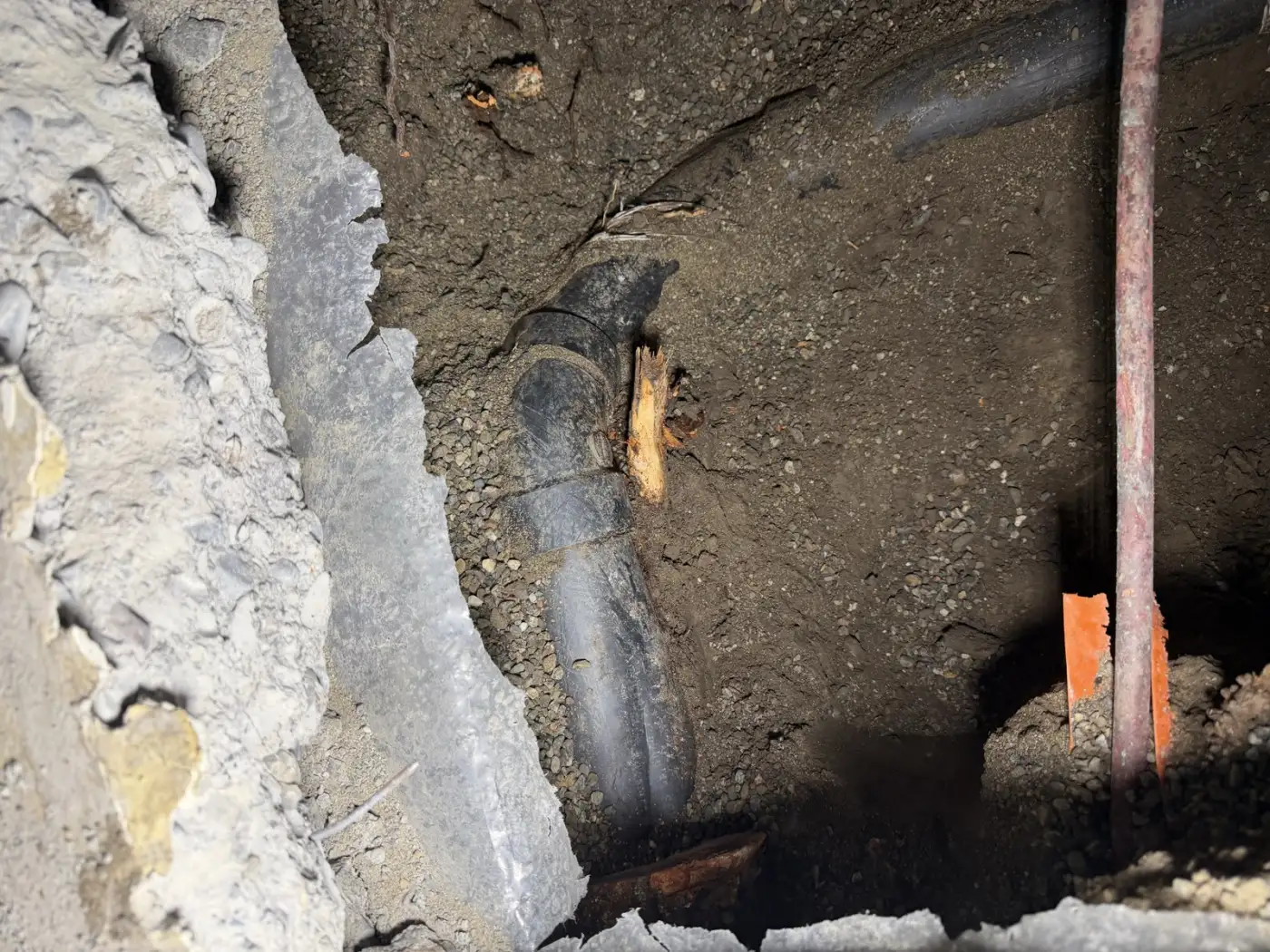 Root wedged against the old drain line where it turns beneath the kitchen slab