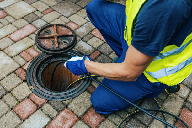 Sewer Line Clogs