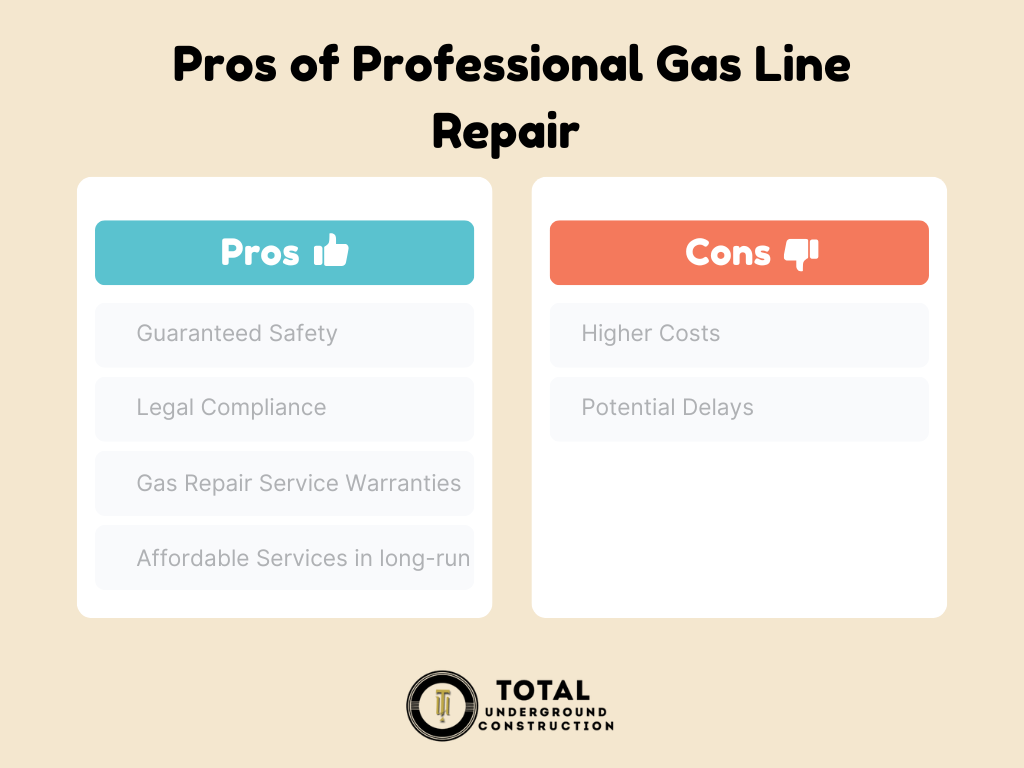 professional gas repair